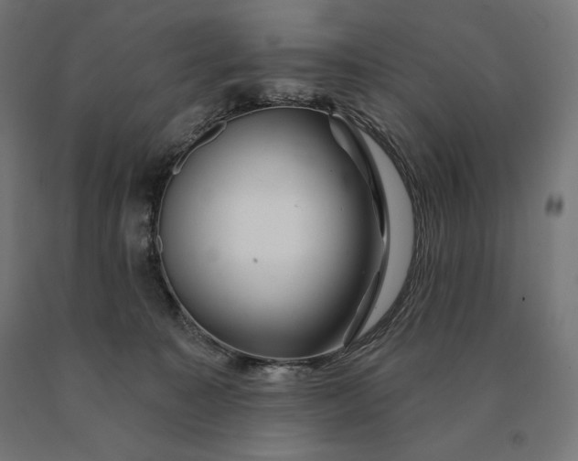 X0000090610323200707311227