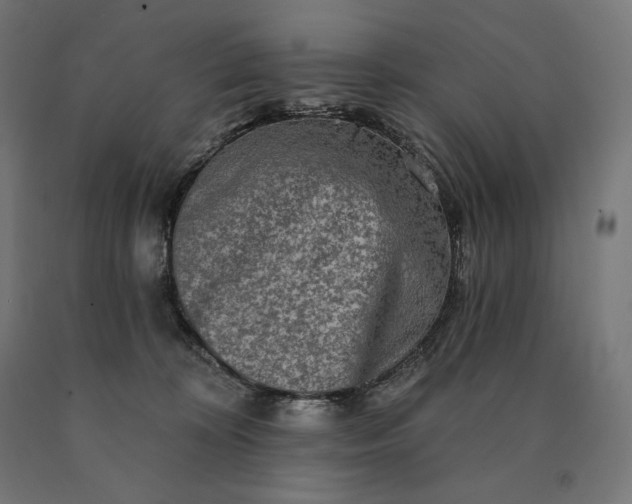 X0000090610324200707311227