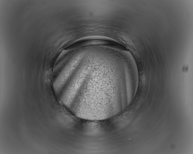 X0000090610325200707311227