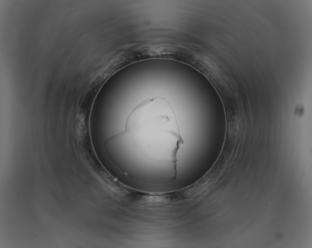 X0000090610327200707311227