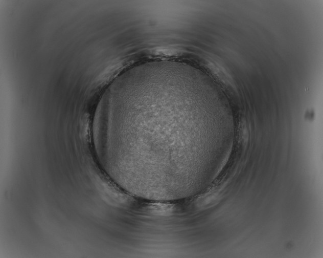 X0000090610328200707311227