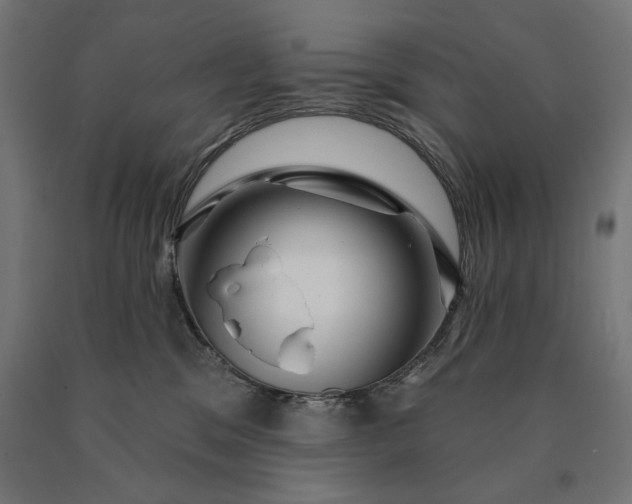 X0000090610329200707311227