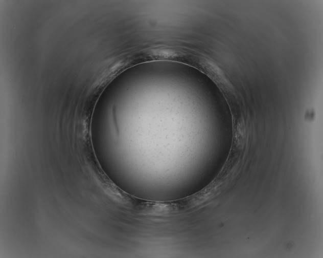 X0000090610330200707311227