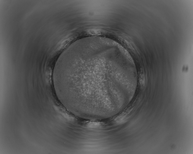 X0000090610332200707311227