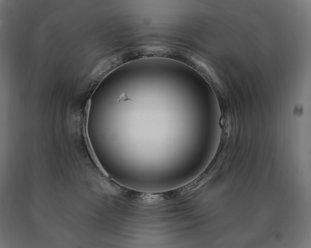 X0000090610333200707311227