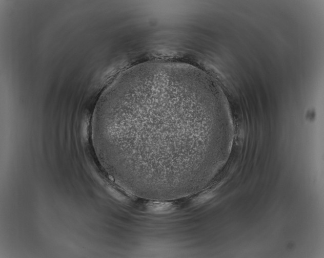 X0000090610334200707311227