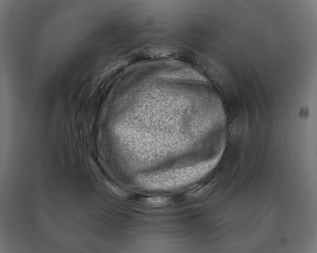 X0000090610335200707311227