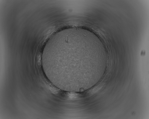 X0000090610336200707311227