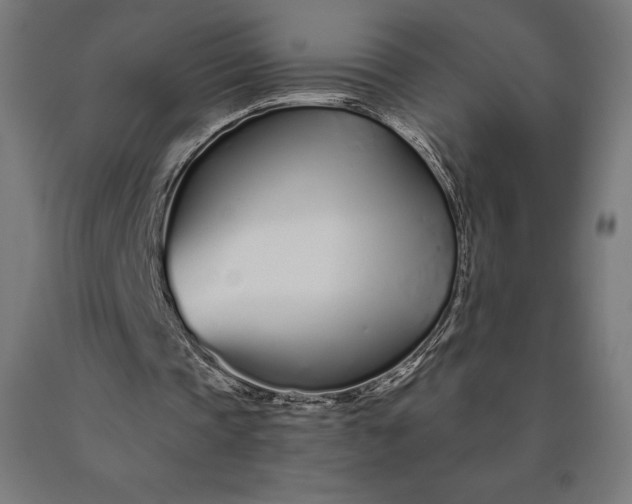 X0000090610337200707311226