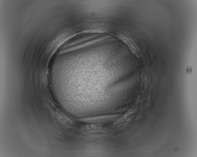 X0000090610338200707311226