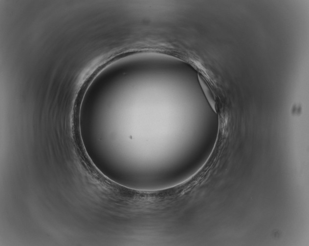 X0000090610340200707311226