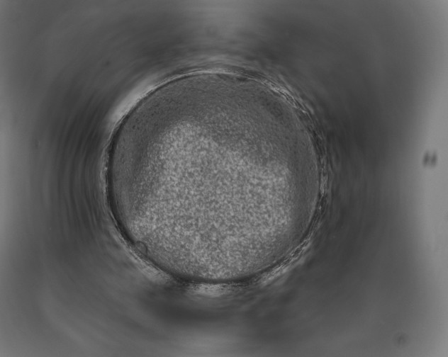 X0000090610341200707311226