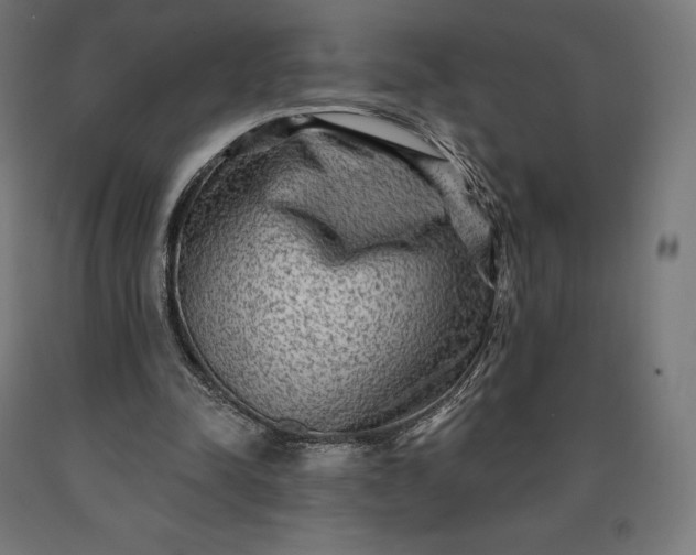 X0000090610342200707311226