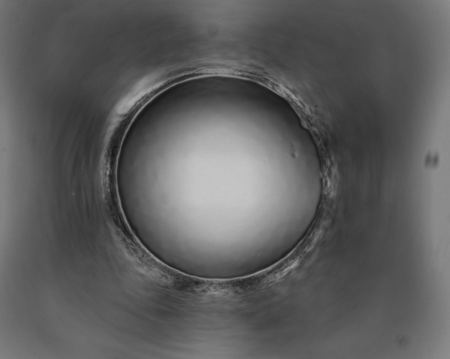 X0000090610343200707311226