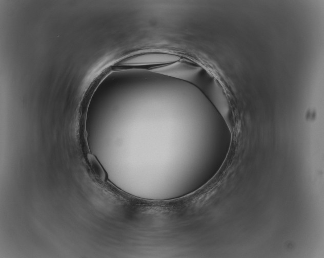 X0000090610344200707311226