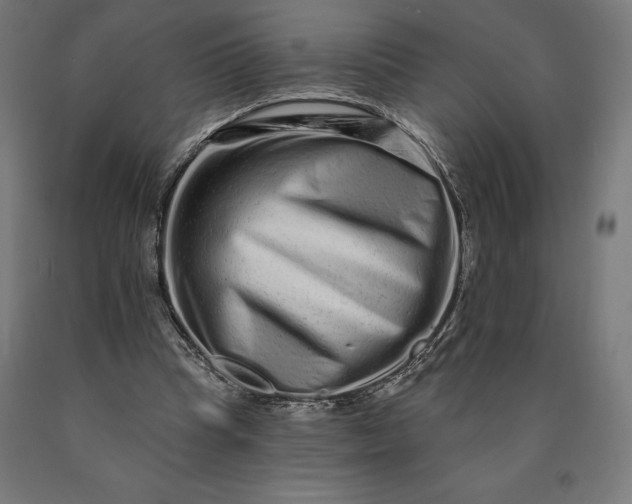 X0000090610345200707311227