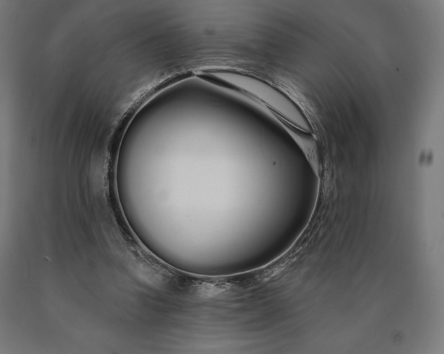 X0000090610346200707311227