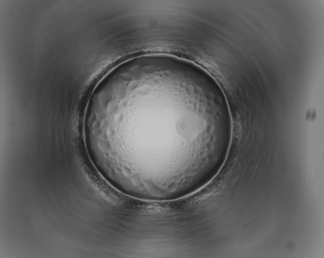 X0000090610347200707311227