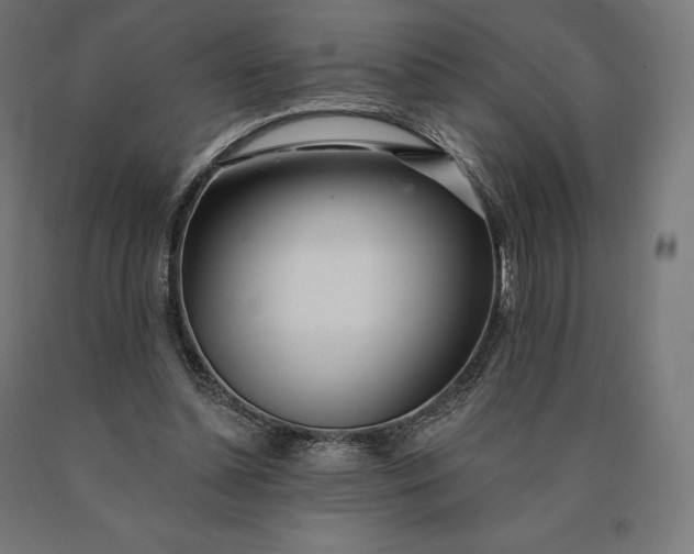 X0000090610348200707311227