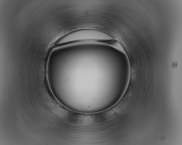 X0000090610349200707311227