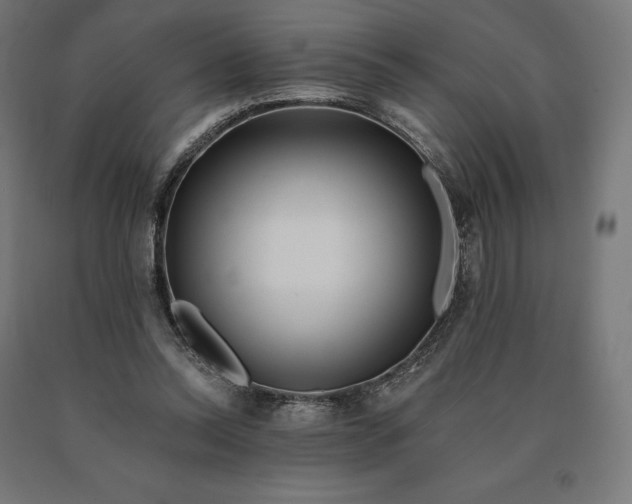 X0000090610350200707311227