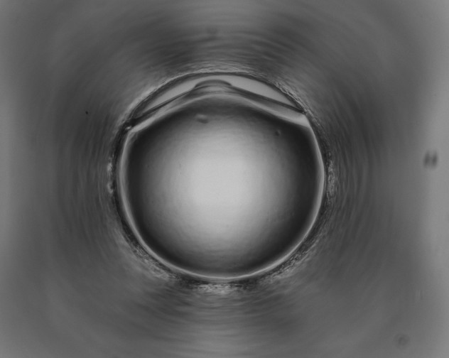 X0000090610351200707311227