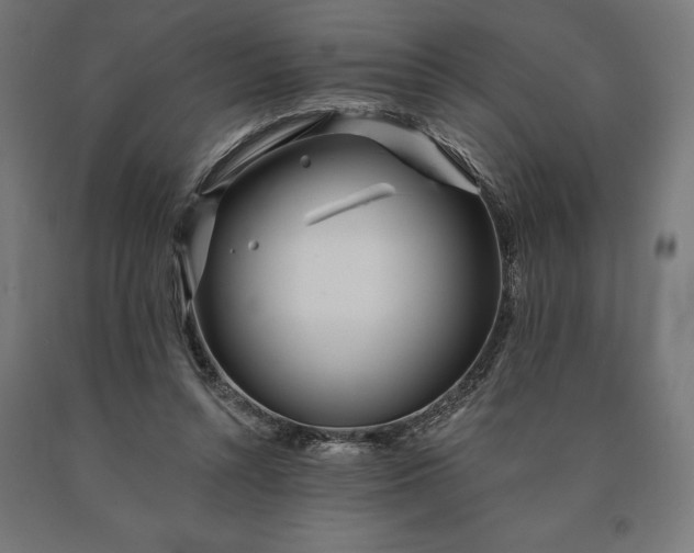 X0000090610352200707311227