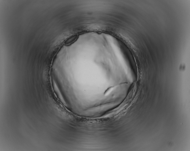 X0000090610353200707311227