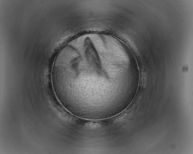 X0000090610354200707311227