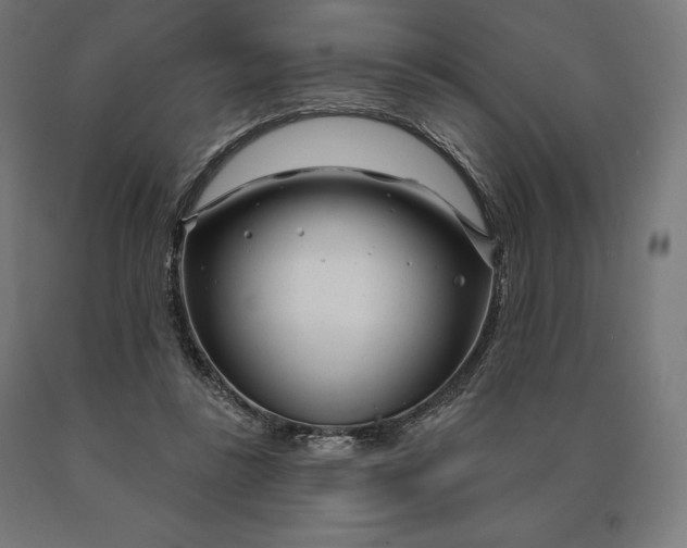 X0000090610355200707311227