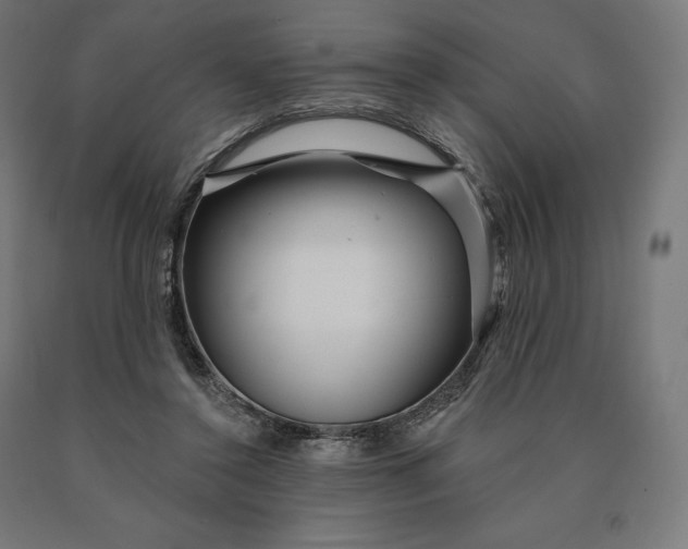 X0000090610356200707311227