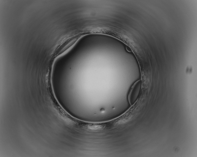 X0000090610357200707311227