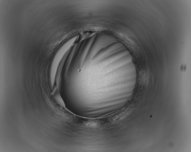 X0000090610358200707311227