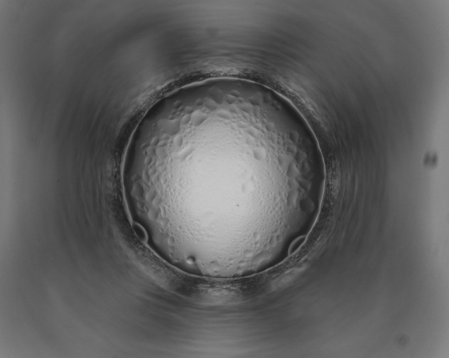 X0000090610359200707311227