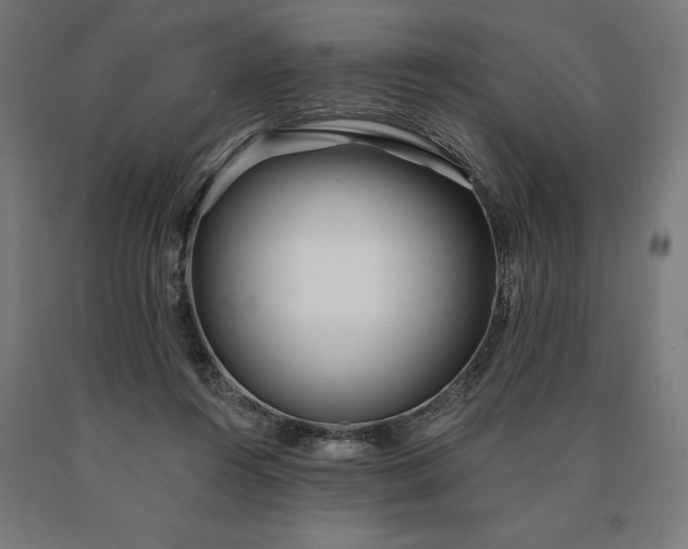 X0000090610360200707311227