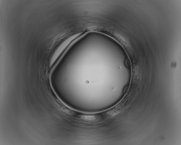 X0000090610361200707311227