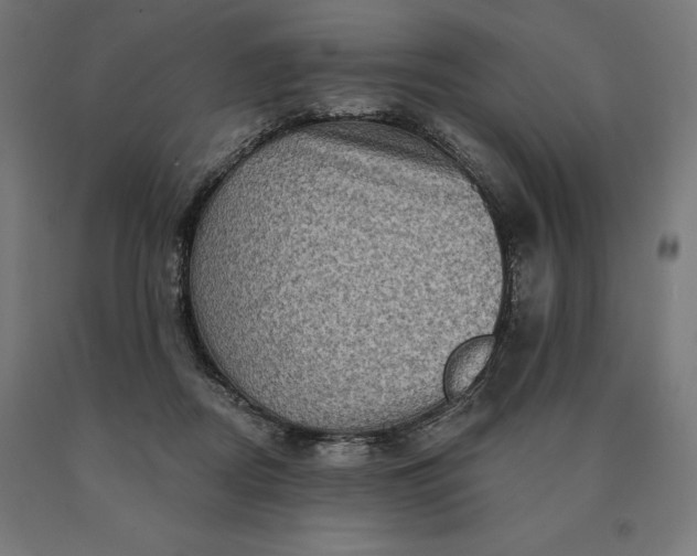 X0000090610362200707311227