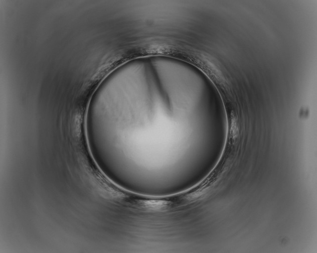 X0000090610363200707311227