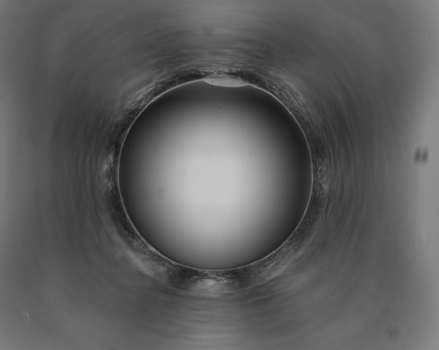 X0000090610364200707311227