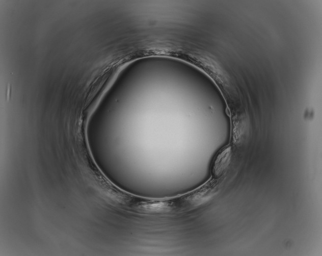 X0000090610365200707311227