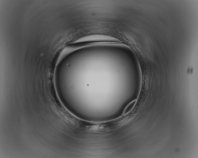 X0000090610366200707311227