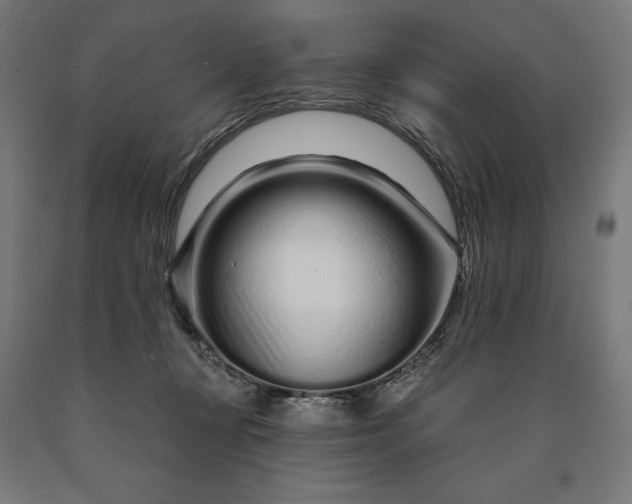 X0000090610367200707311227