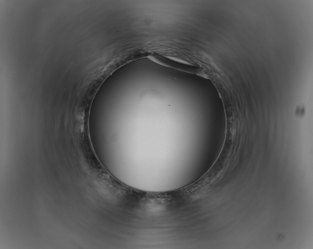 X0000090610368200707311227