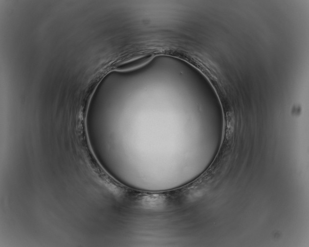 X0000090610369200707311227