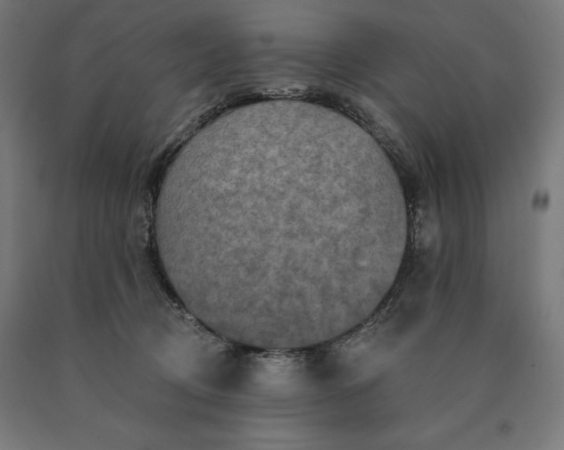 X0000090610370200707311227