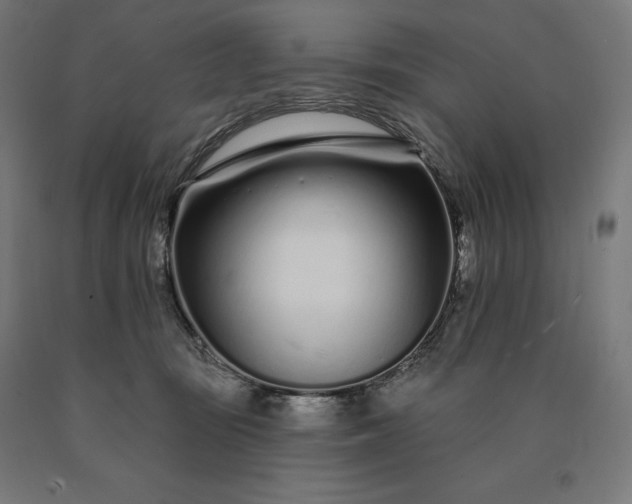 X0000090610371200707311227