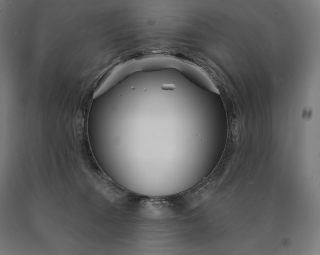 X0000090610372200707311227