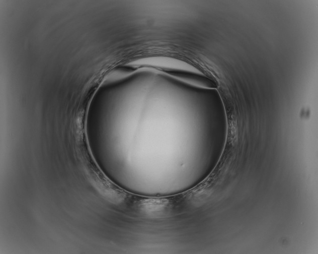 X0000090610373200707311227