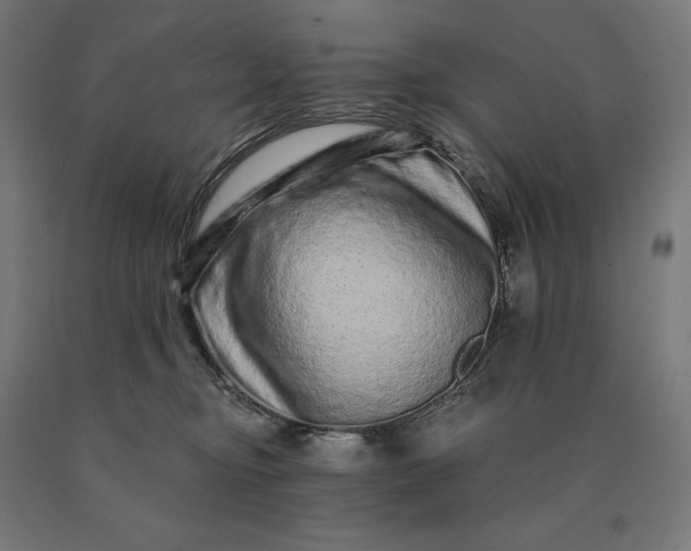 X0000090610374200707311227