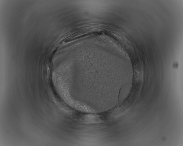 X0000090610375200707311227